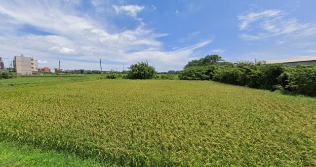 中壢農地-0