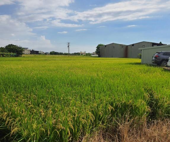 蘆竹農地-4